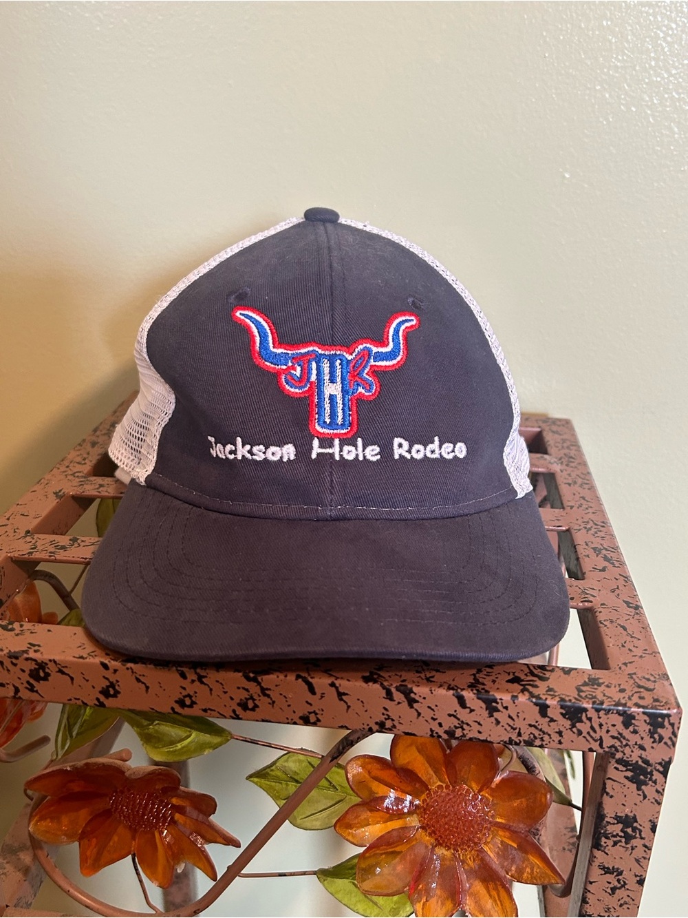 Jackson Hole Rodeo Hat Womens Outdoor Cap PNY-100M Ponytail Trucker Cap Navy